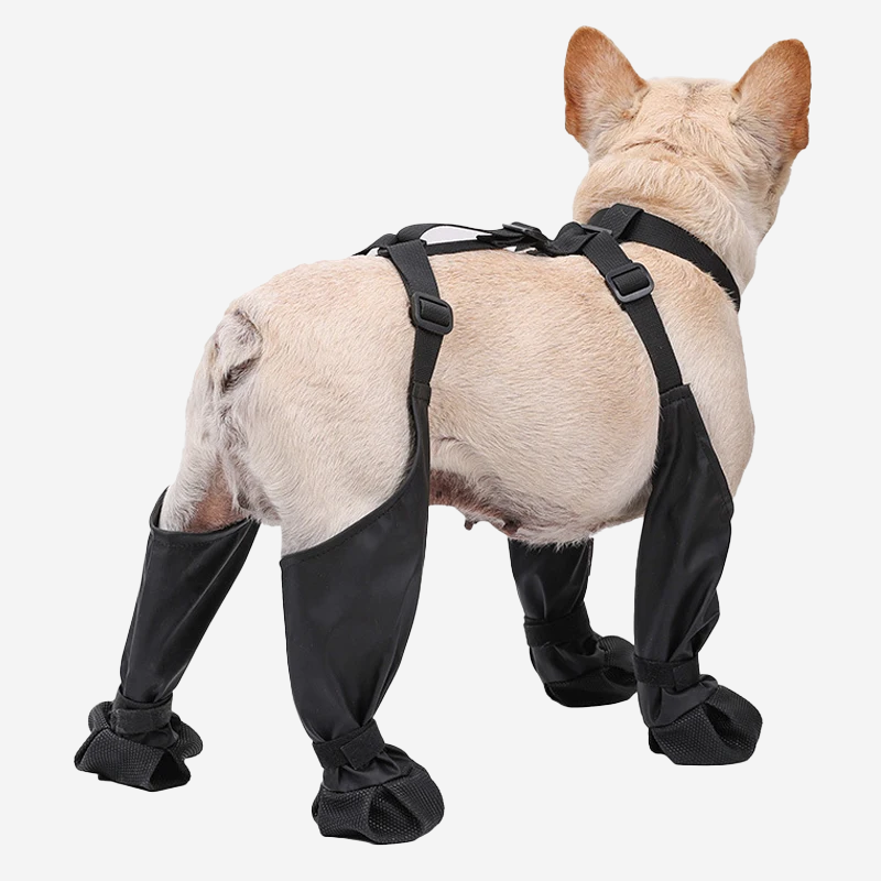 Waterproof Pet Rain Shoes