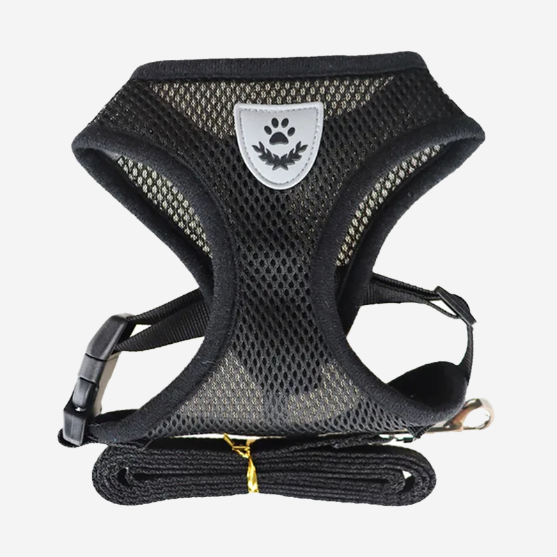 Breathable Mesh Pet Harness