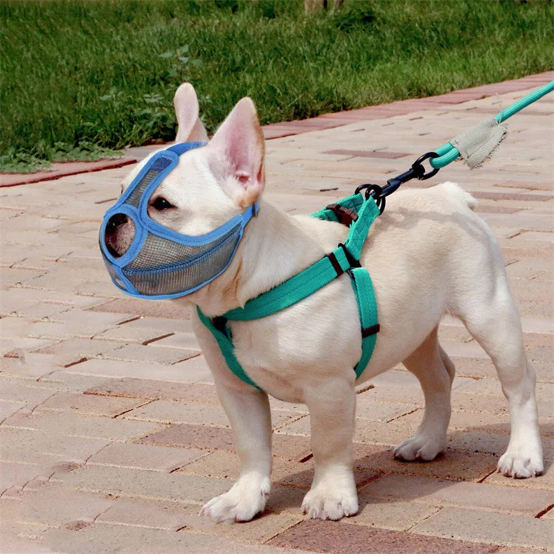 Anti Biting Dog Muzzle