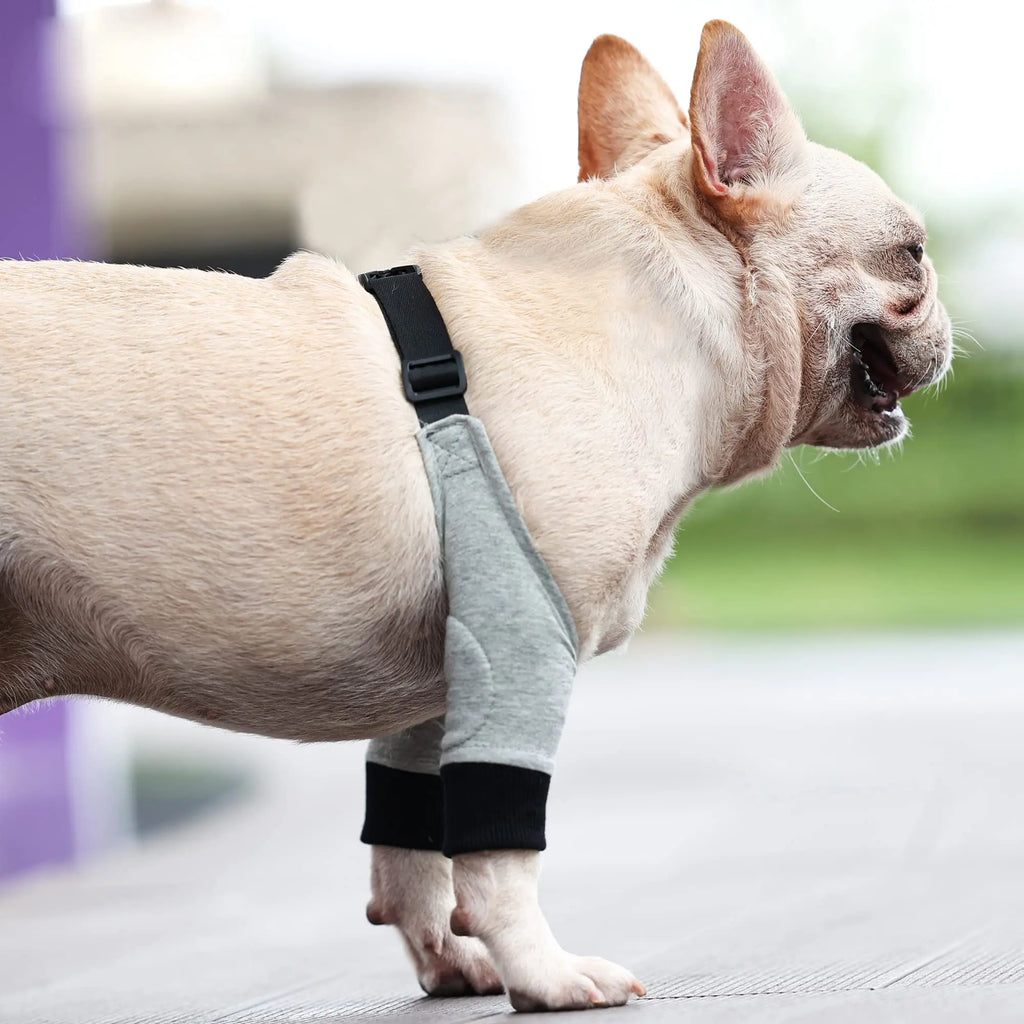 Dog Elbow Brace