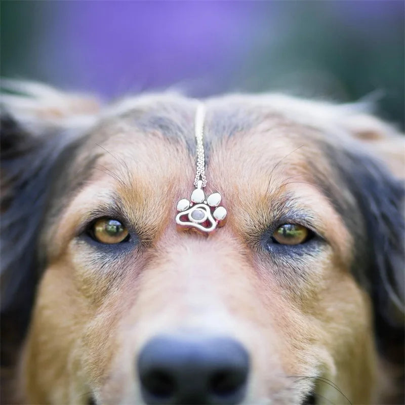 Personalized Paw Photo Necklace