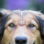 Personalized Paw Photo Necklace