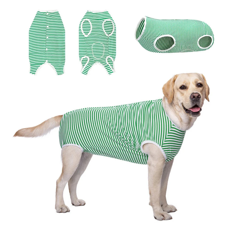 Green Striped Dog Sweater