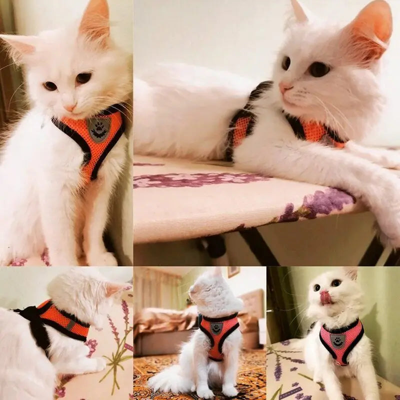 Breathable Mesh Pet Harness