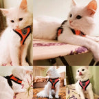 Breathable Mesh Pet Harness