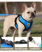 Breathable Mesh Pet Harness