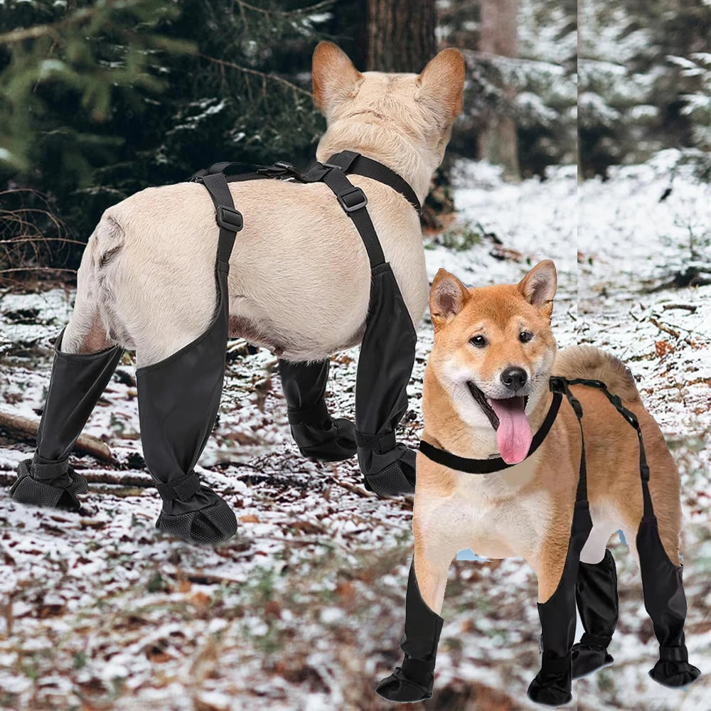 Waterproof Pet Rain Shoes