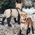 Waterproof Pet Rain Shoes