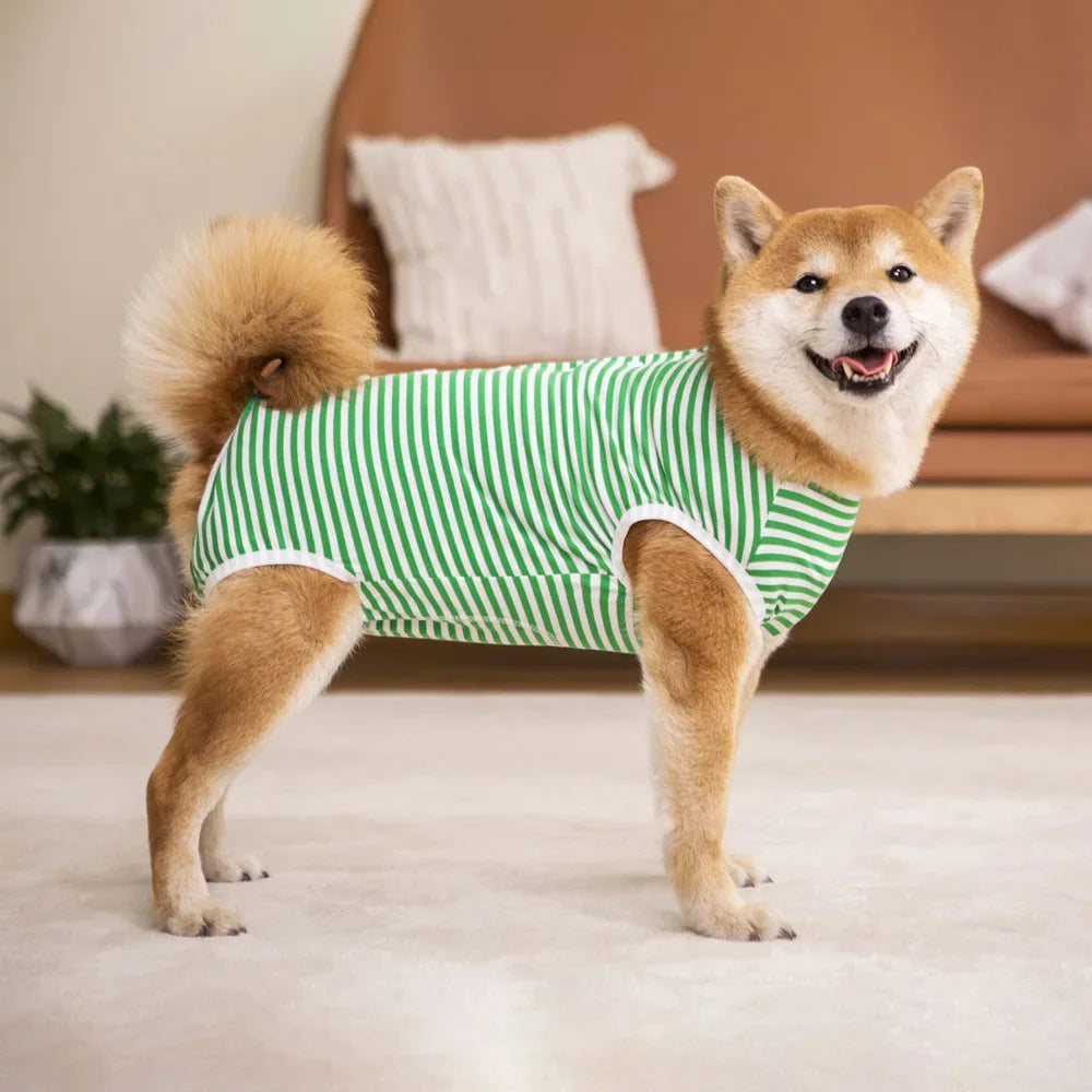 Green Striped Dog Sweater