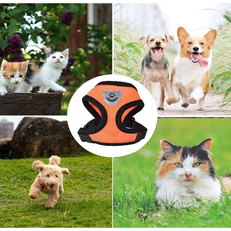 Breathable Mesh Pet Harness