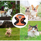 Breathable Mesh Pet Harness