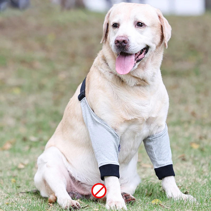 Dog Elbow Brace
