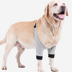Dog Elbow Brace