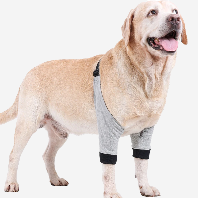 Dog Elbow Brace